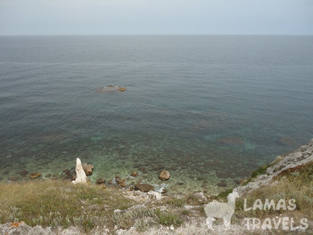 Ламы. Море. Тарханкут. Фото 13
