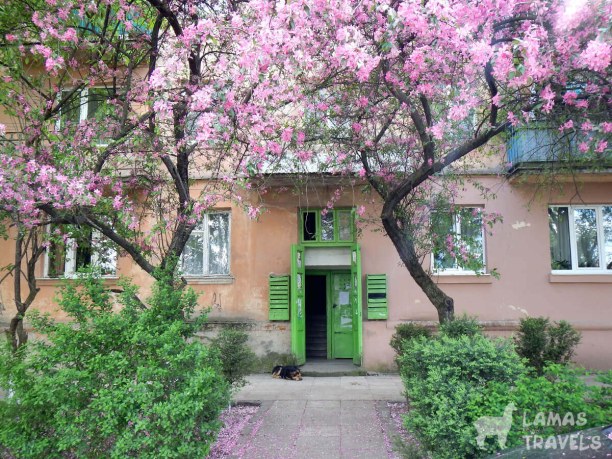 Такой уютный дворик отыскали в Ужгороде возле набережной.