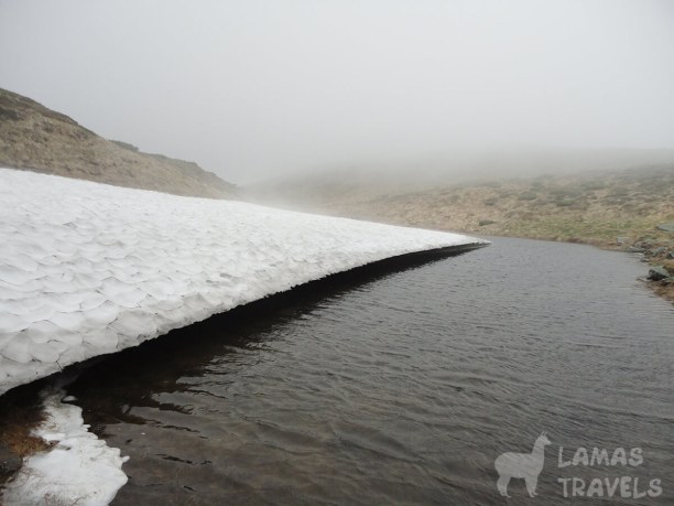 На фото: пласт снега и талая вода - все это нашли, немного сойдя с Черногорского хребта.